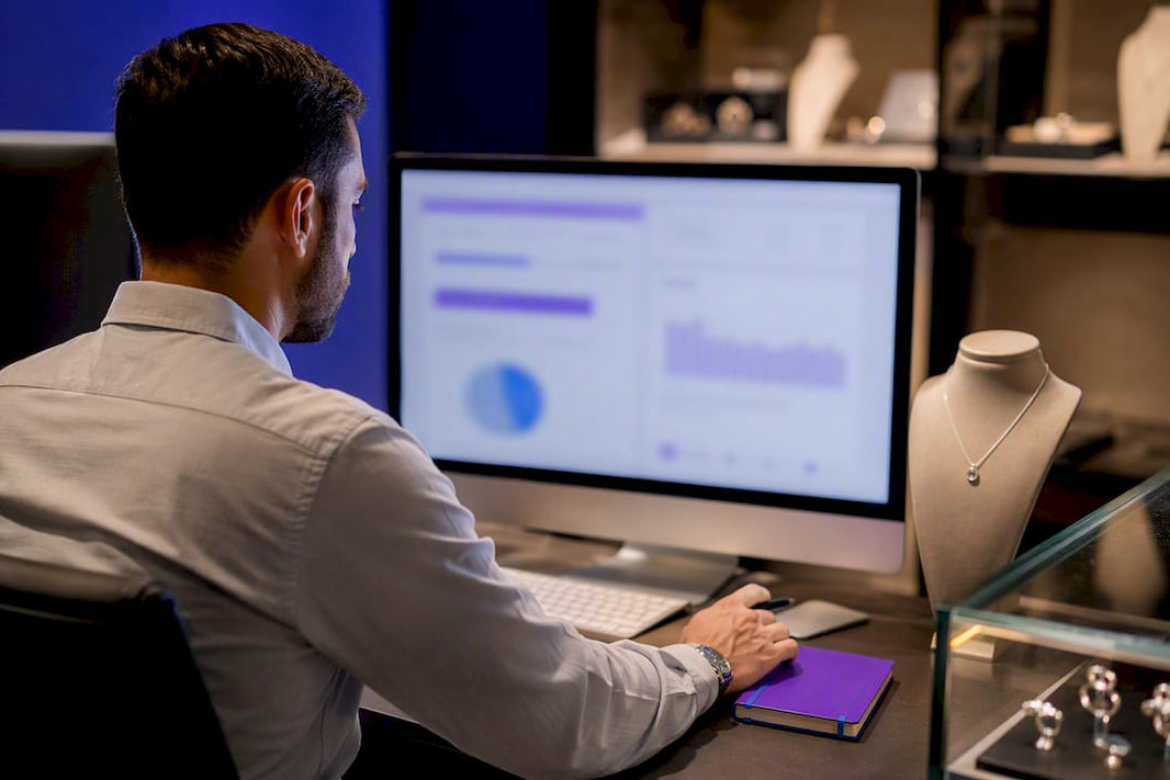 Analyst monitoring jewelry ecommerce pricing